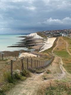 Climbing up to the cliff tops, just after Saltdean